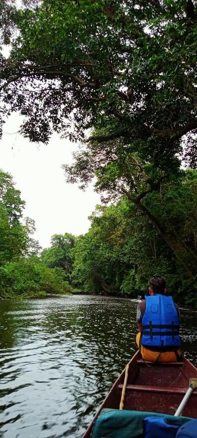 Belebar Studio Room Taman Negara Pahang Malaysia Kuala Tahan Eksteriør billede