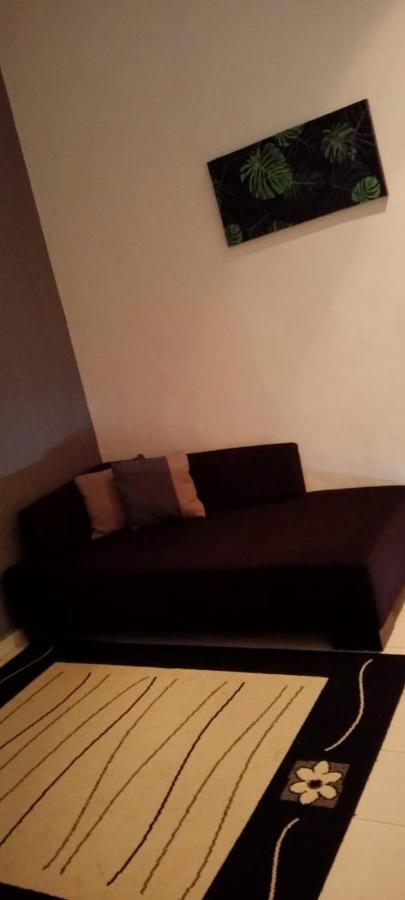 Belebar Studio Room Taman Negara Pahang Malaysia Kuala Tahan Eksteriør billede